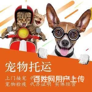 丽江宠物托运活体物流猫狗速运今日/热点2022信息已更新 - 图片 6